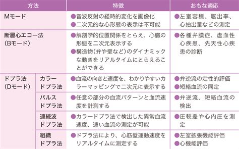 心エコー検査の看護｜目的、種類、検 